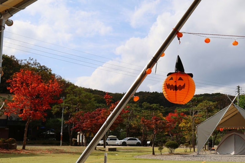 연천 아미캠핑장 2025 할로윈캠핑 후기