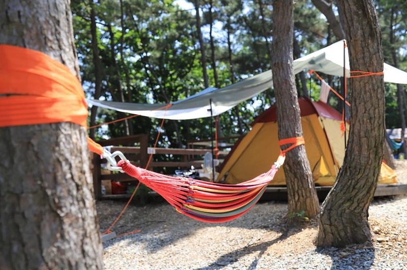 트리캠핑장 시설 사진 2