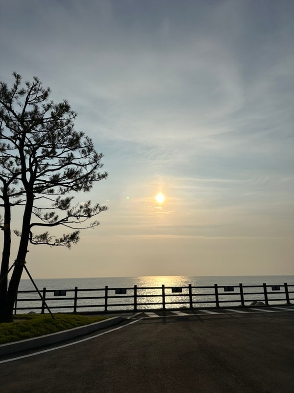 강릉바다내음캠핑장... 캠핑장 강릉 캠핑장 A4 바다내음캠핑장...