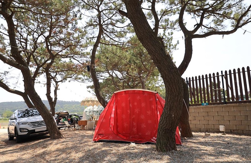 을왕리 솔트 캠핑장 시설 사진 5