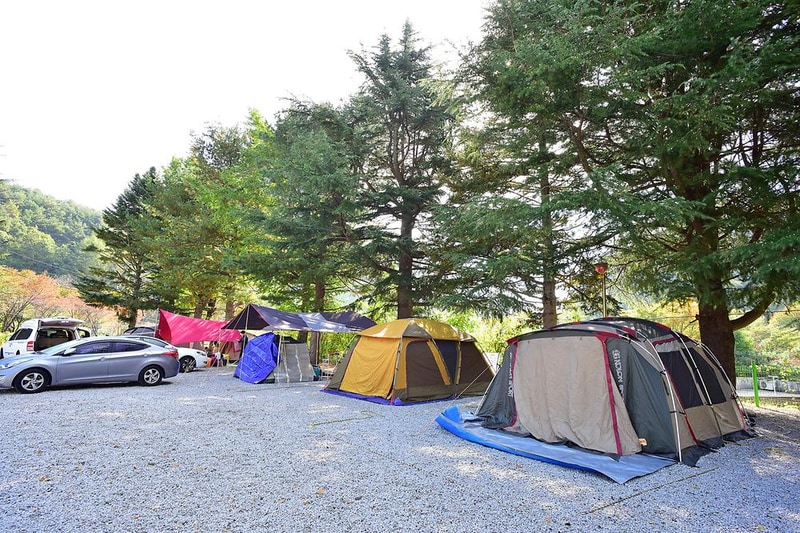 달빛고운병곡캠핑장 시설 사진 8