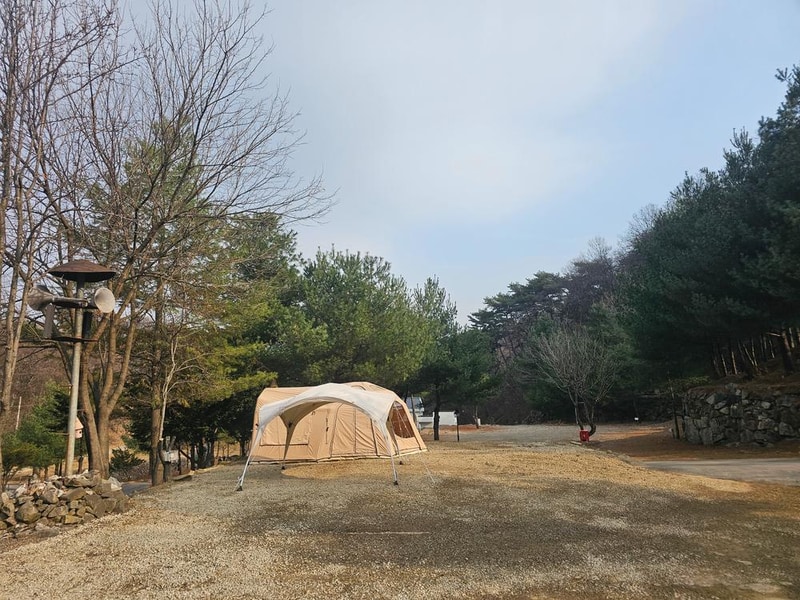 (에드203) 플라네캠핑장 시설 사진 2