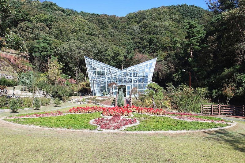 백야자연휴양림 오토캠핑장 시설 사진 6