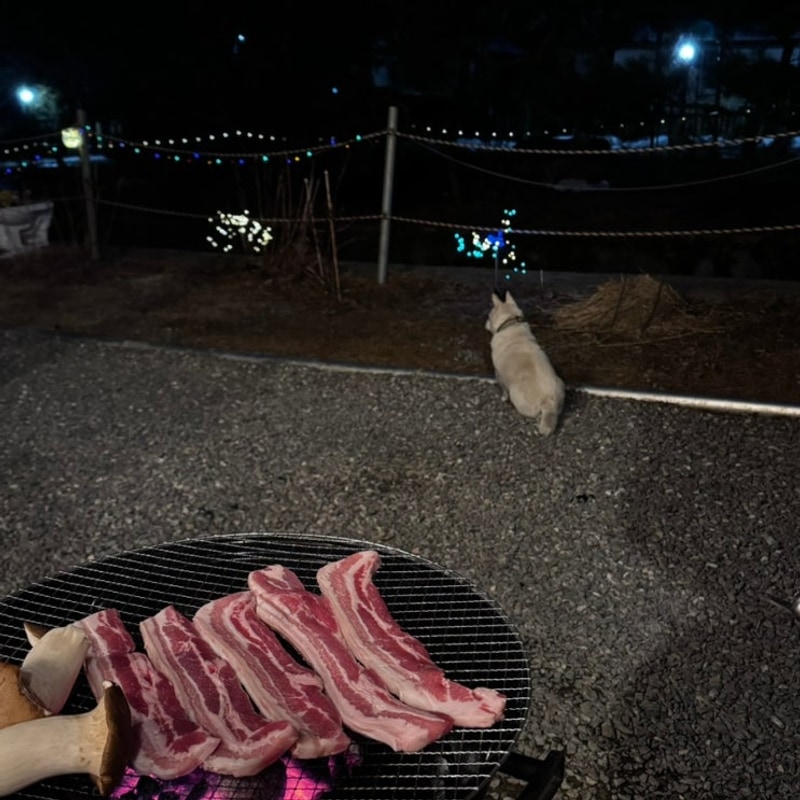 제천글램핑 ‘수피아 글램핑&펜션’