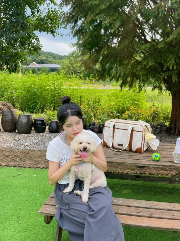 당일치기글램핑 포천 달빛 글램핑장 수영장 글램핑펜션 숙소