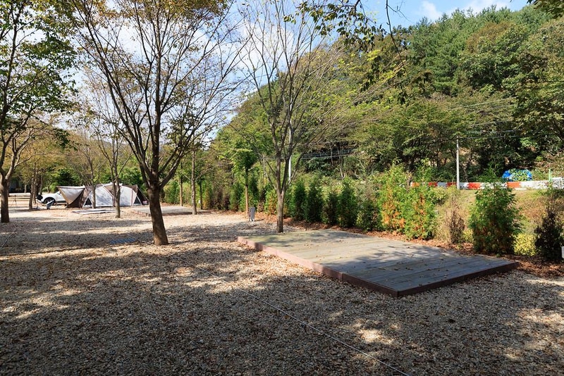 금산 자연 오토캠핑장 시설 사진 24