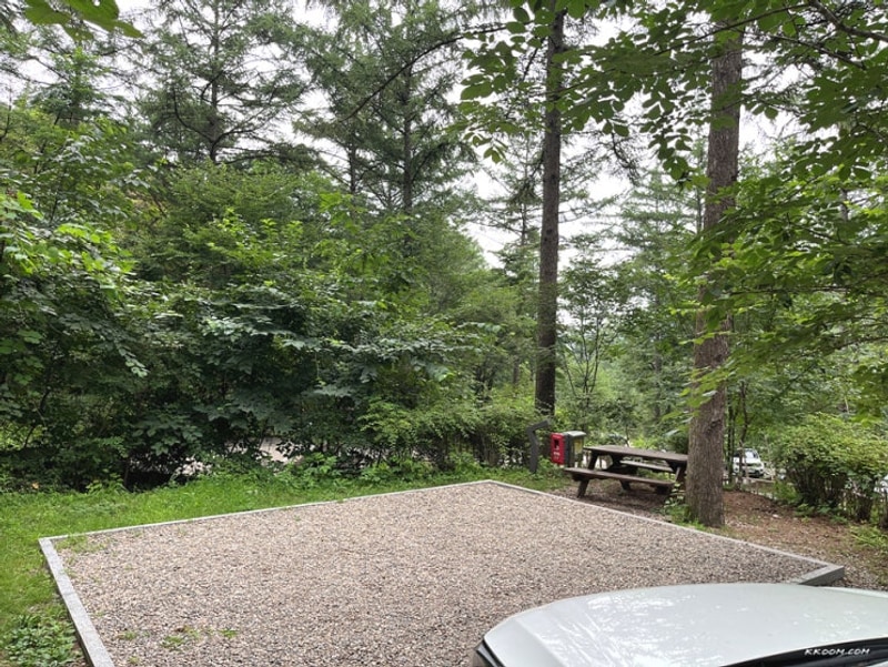 국립 화천숲속 야영장 데크 명당 배치도 계곡 캠핑 후기