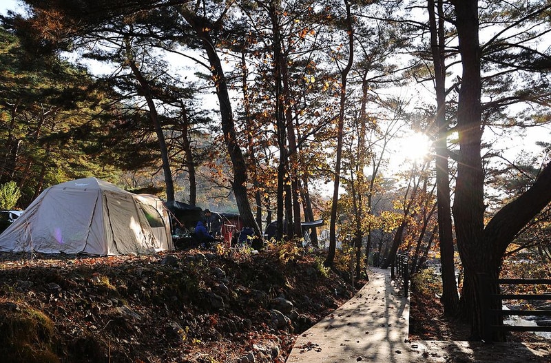 가보세캠핑장 시설 사진 3