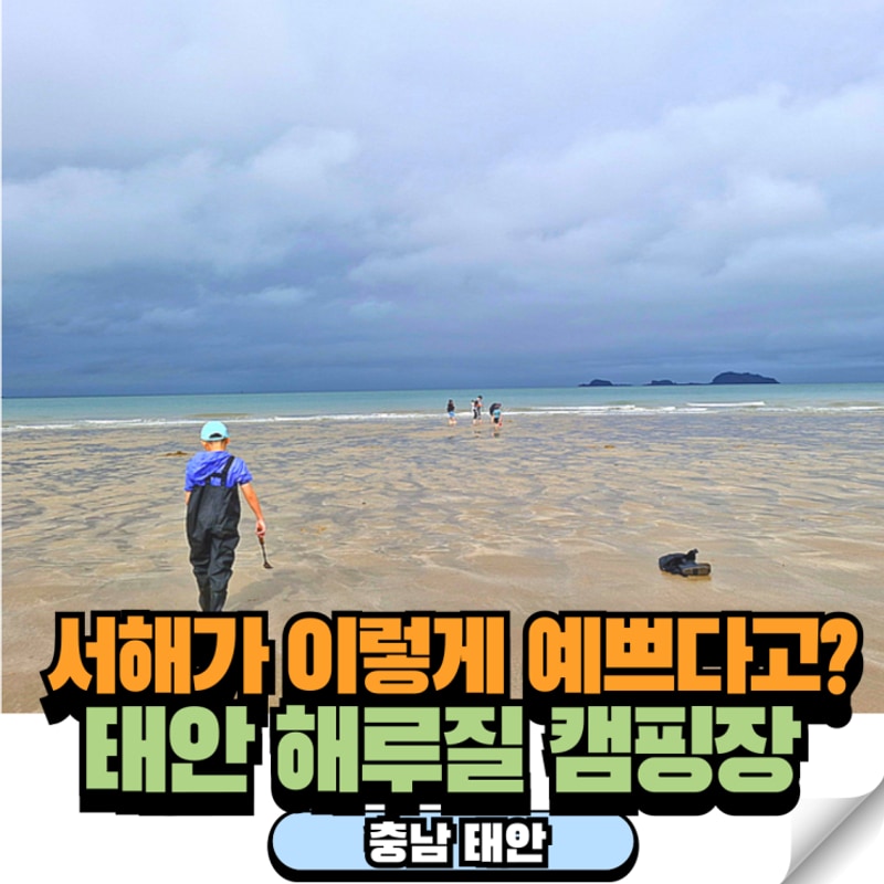태안 캠핑장 해루질 갯벌체험 구례포 석갱이오토캠핑장 후기