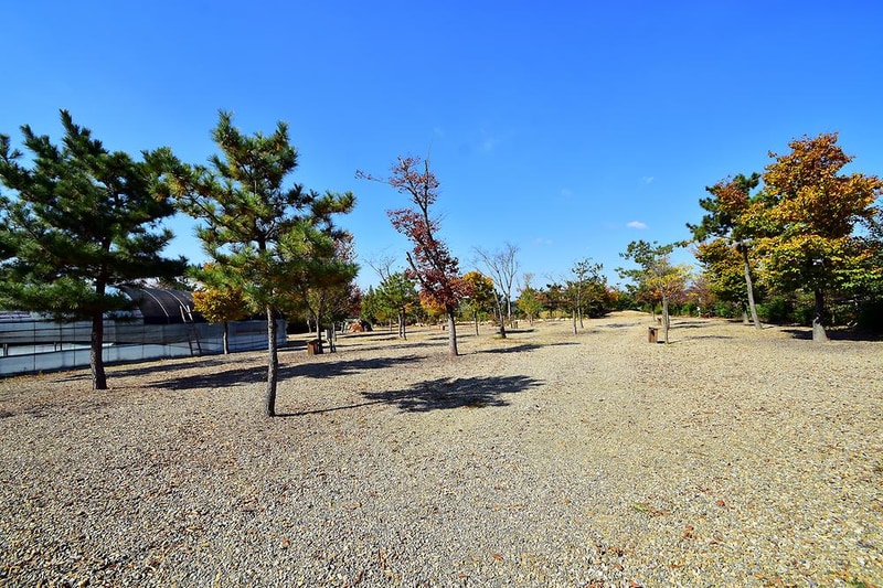 경주초우오토캠핑장 시설 사진 11