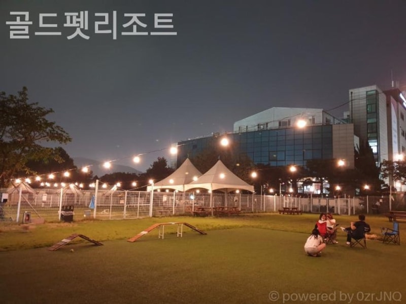 용인캠핑장 골드펫리조트 가성비 좋은 캠핑의 성지