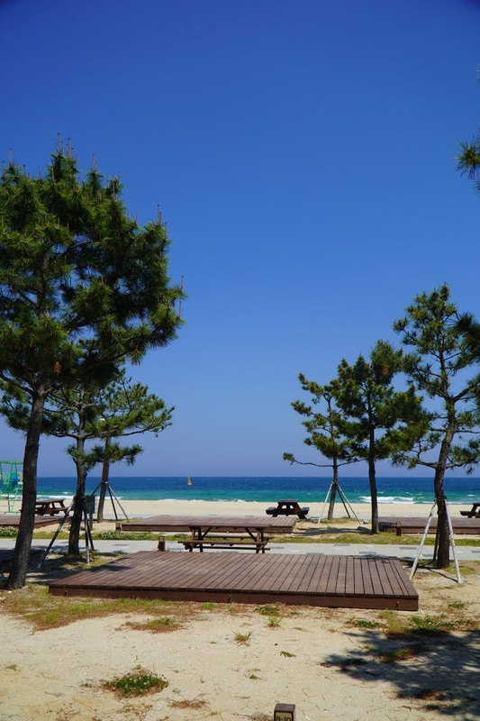 강원도 고성 해변 캠핑장 추천! 오호캠핑장 예약방법, 가격 등