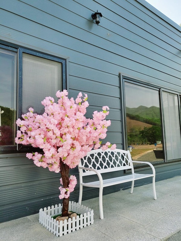 별밤캠프 시설 사진 15