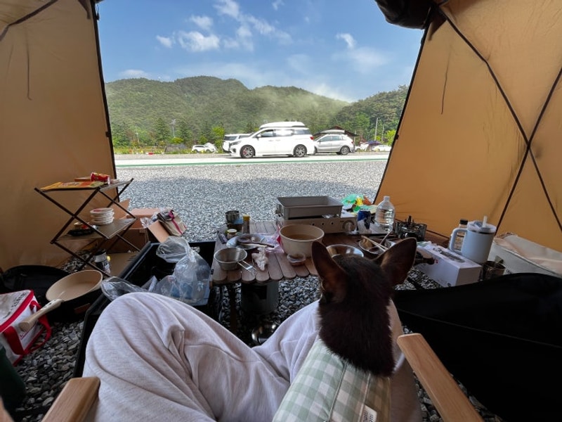 [블챌] 고릴라캠핑 in 속리산 - 반려동물가능 내돈내산 솔직후기