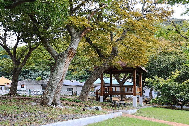 쌍근오토캠핑장 시설 사진 19