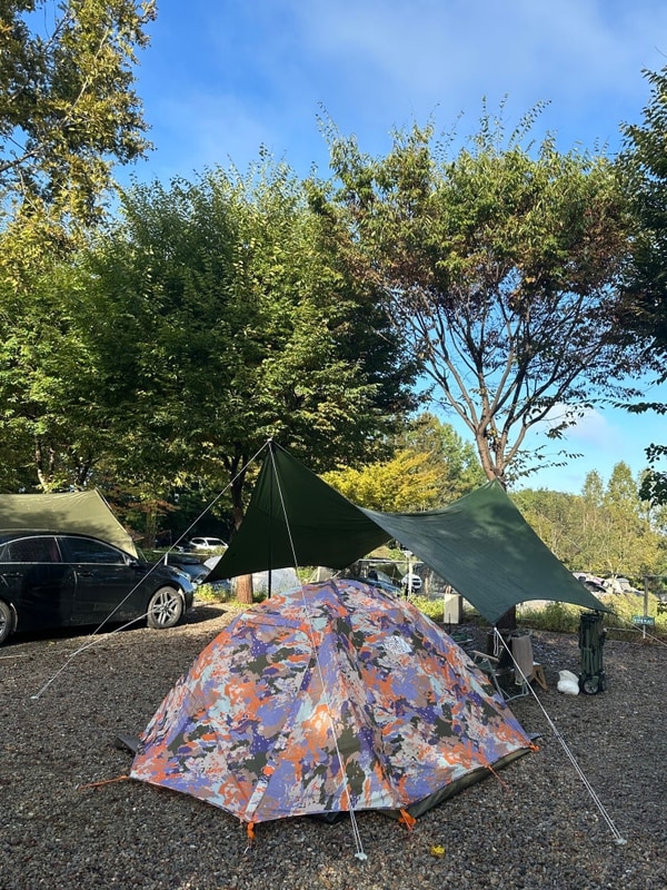 <파주> 산머루농원캠핑장 가을캠핑 솔직후기 ⛺• 파주...