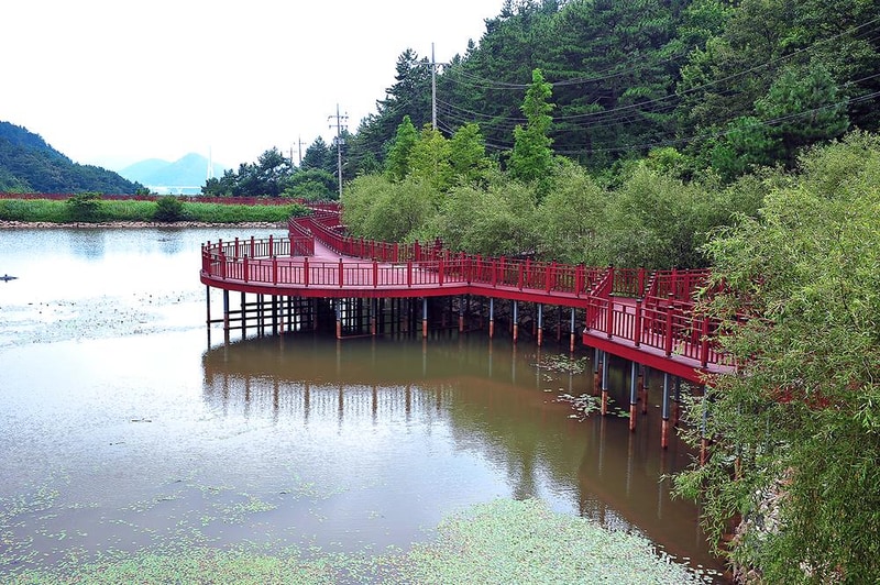 봉황산자연휴양림 야영장 시설 사진 8