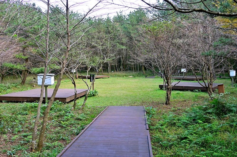 붉은오름 자연휴양림 숲속 야영장 시설 사진 14