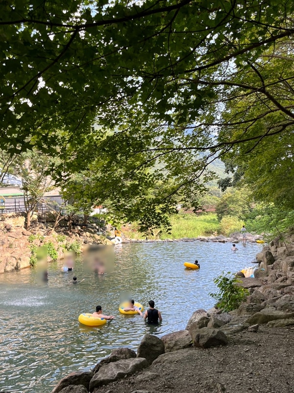 장성 남창계곡 평상 글램핑 주차 물놀이 총정리