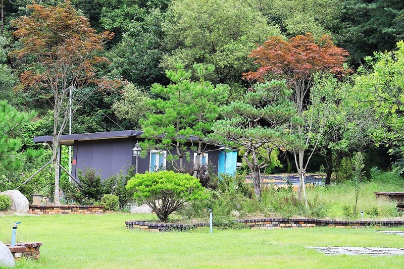 더 포레스트 시설 사진 10