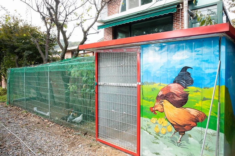 수동시온캠프 시설 사진 1