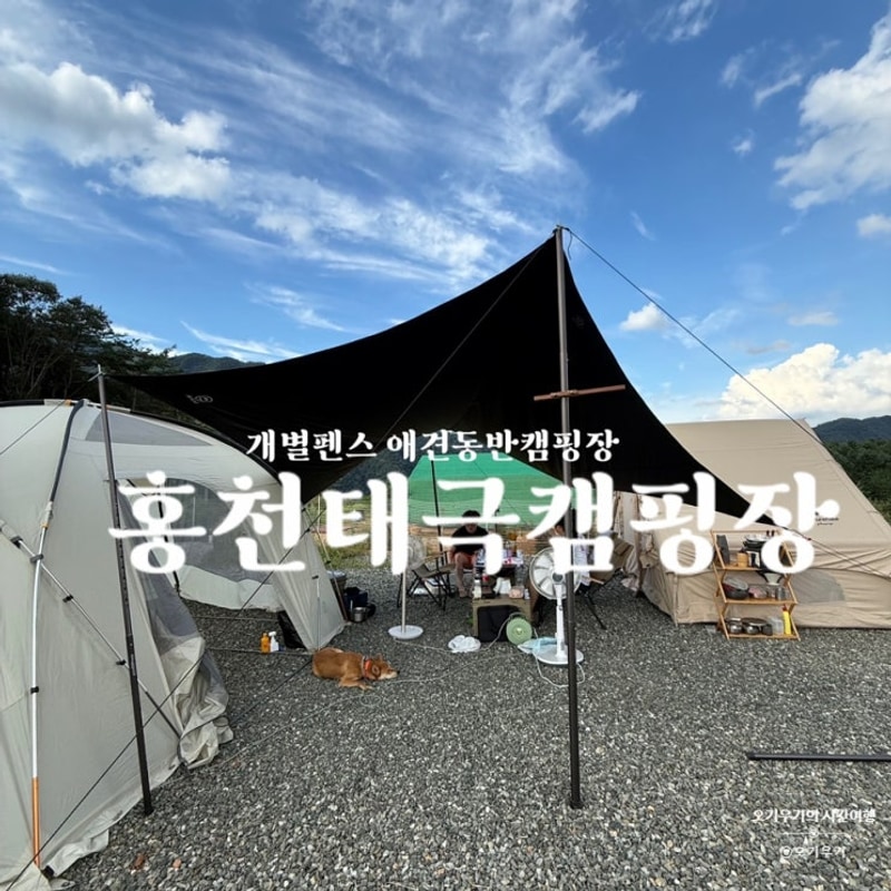 홍천 개별펜스 애견동반캠핑장 홍천태극캠핑장, 중형견 동반