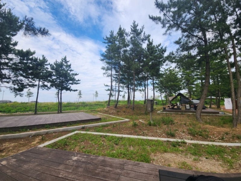 고성 물놀이 여행과 두 번은 안 올 자작도캠핑장 후기