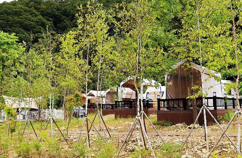 자작자작 캠핑장 대표 사진