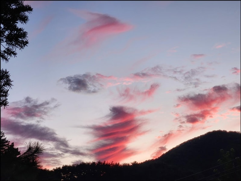 원주캠핑장 찾고 있어 한다리골 캠핑장에서 완벽한 힐링을...