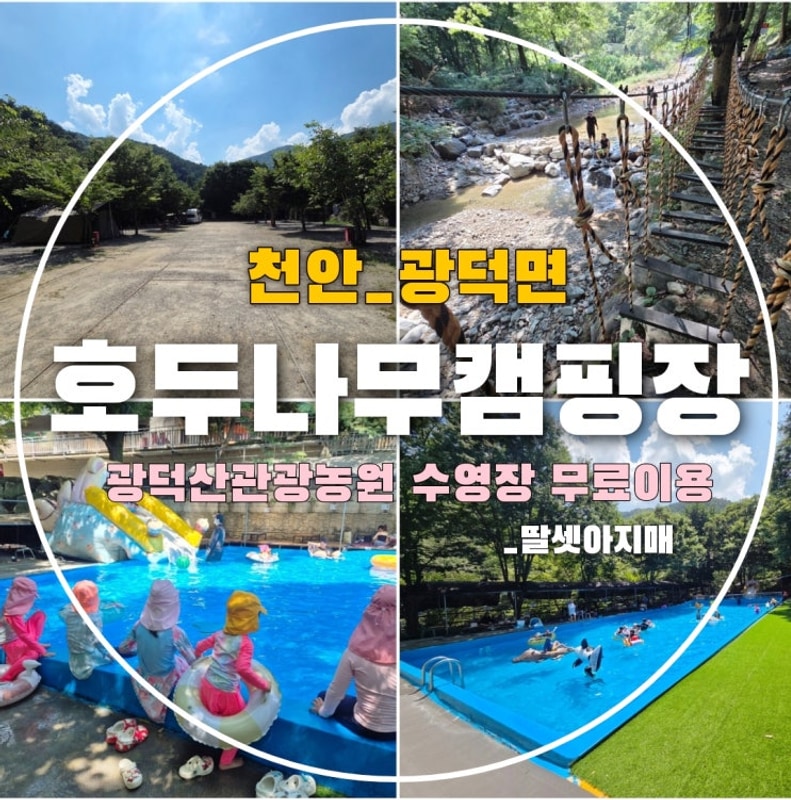 [천안 아이랑 캠핑장] 8번째 캠핑, 천안 호두나무캠핑장 / 계곡...