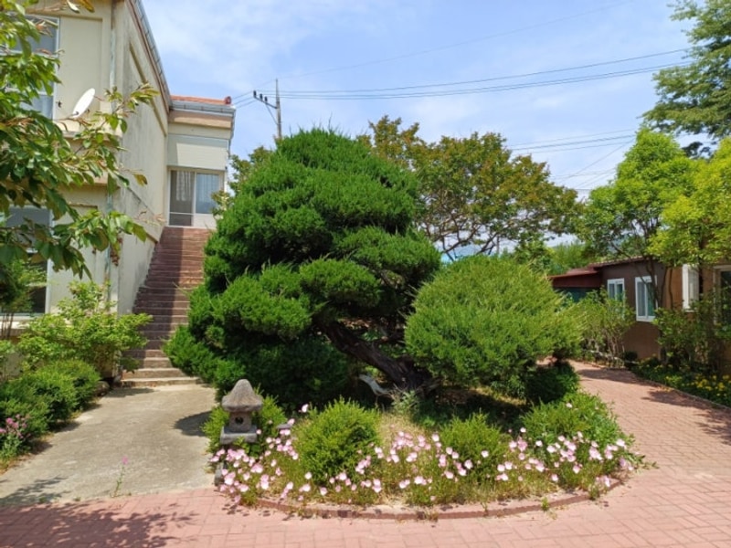 이색적 감성이 있는 포항 캠핑장 포항기계 화봉캠핑클럽...