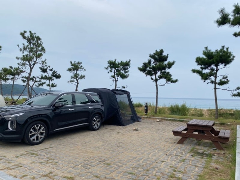 [경북 울진] 뷰가 끝내주는 염전해변캠핑장 솔직후기 (뷰...