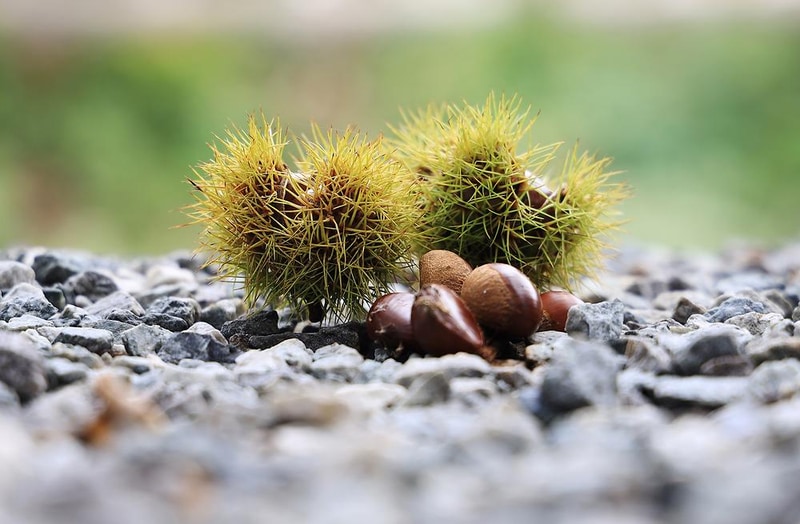 양평온누리캠핑장 시설 사진 21