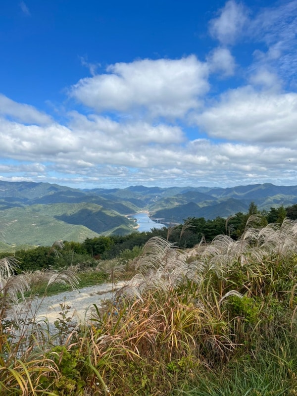 군위 캠핑장 추천 바람이좋은저녁 17번
