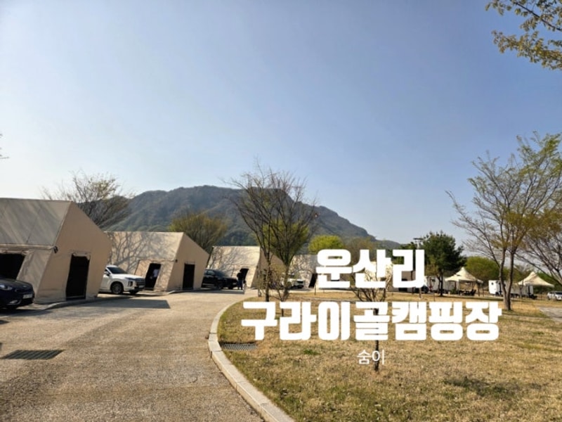 '운산리 구라이골 캠핑장' 서울근교 팀캠핑 하기 좋은 글램핑...
