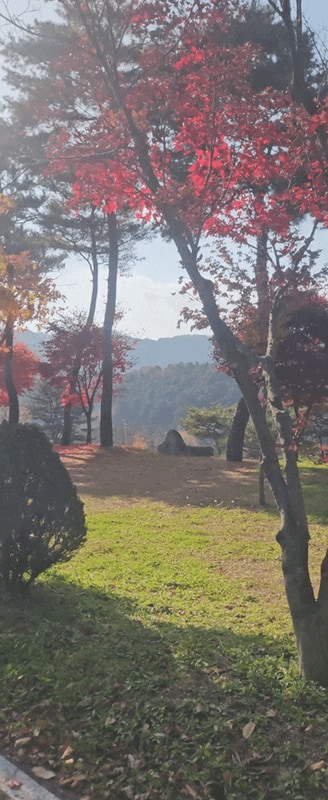 포천 너즈넉히 단풍 구경 가능한 금동 휴양림 캠프 1