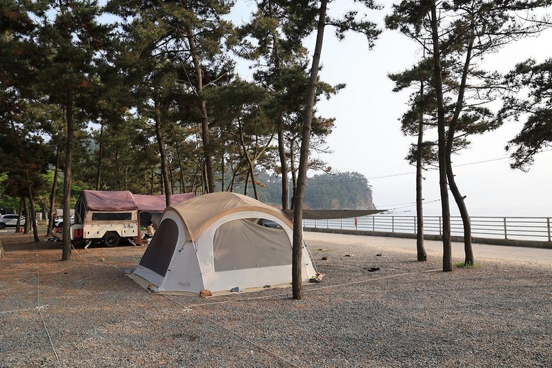 바다풍경관광농원 시설 사진 15