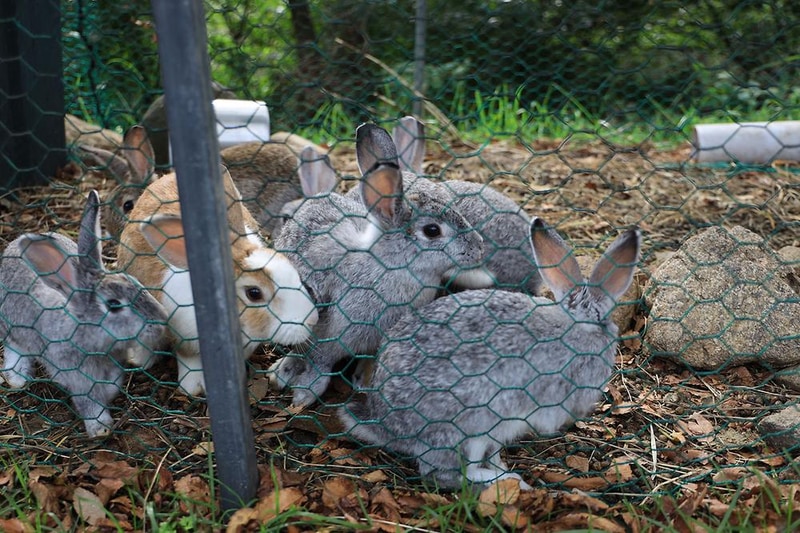 지리산리조트 글램핑 시설 사진 23