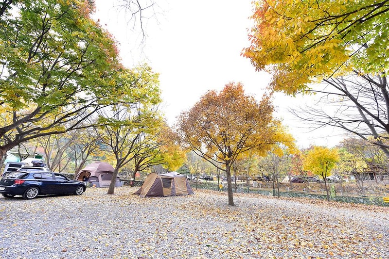 개울가오토캠핑장 시설 사진 8