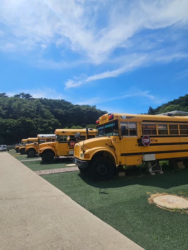 태안 안면도 스쿨버스 캠핑장 완벽한 가족여행 후기 (수영장...
