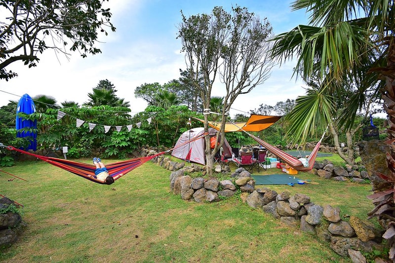 비체올린 시설 사진 3