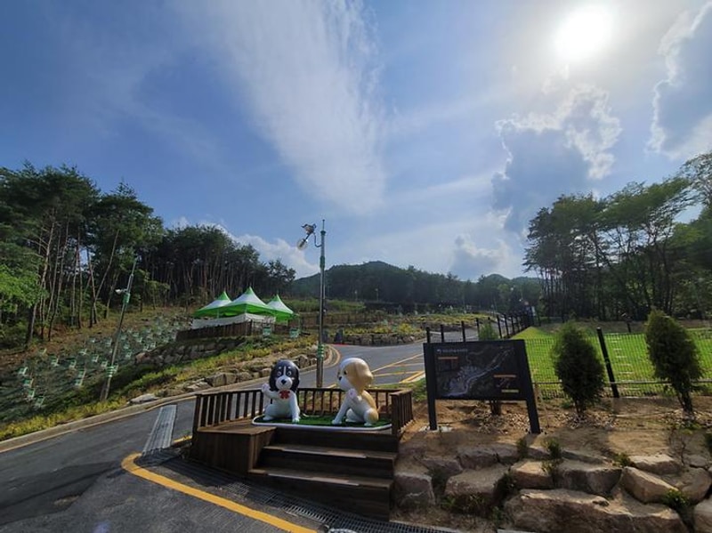 국립김천숲속야영장 대표 사진