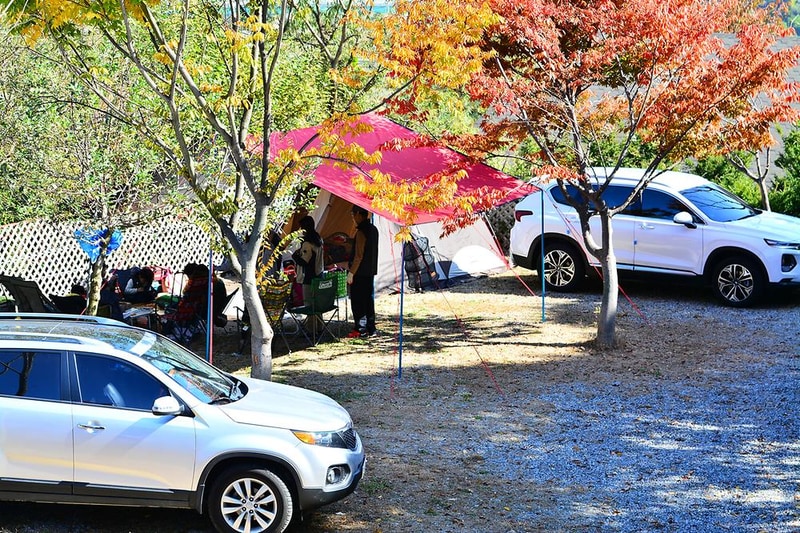 가평 사과나무 캠핑장 시설 사진 6