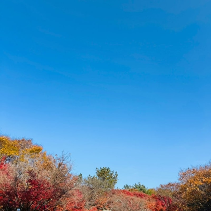 [뒤죽박죽 캠핑 이야기]담양 마루한캠핑장, 오토캠핑...