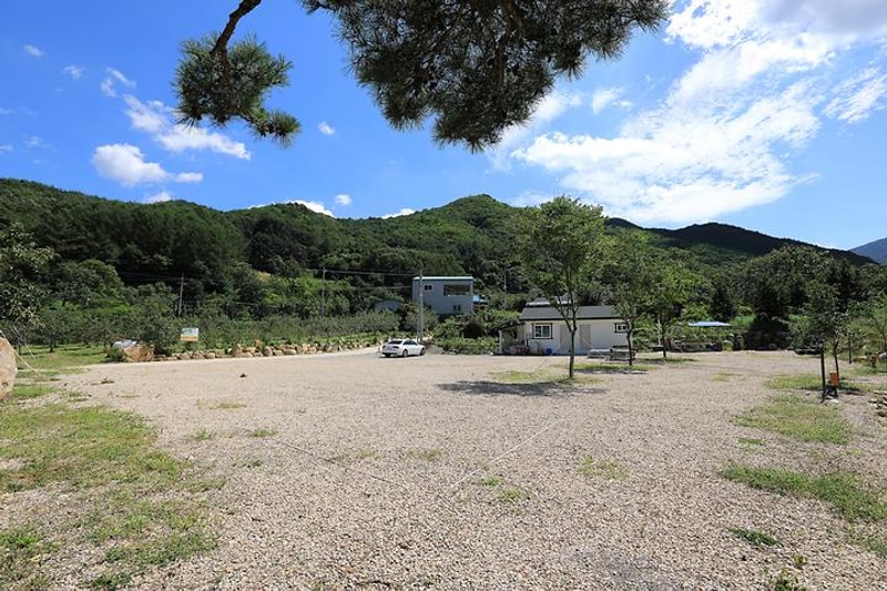 물한계곡소나무펜션 대표 사진