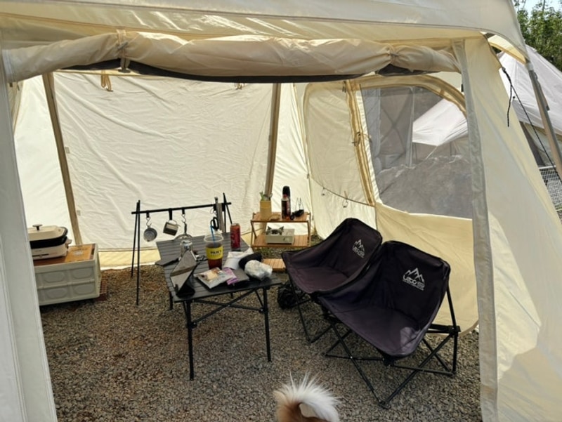 [홍천] 두 번 가도 좋은 애견동반 이지캠핑 홍천태극캠핑장 ⛺