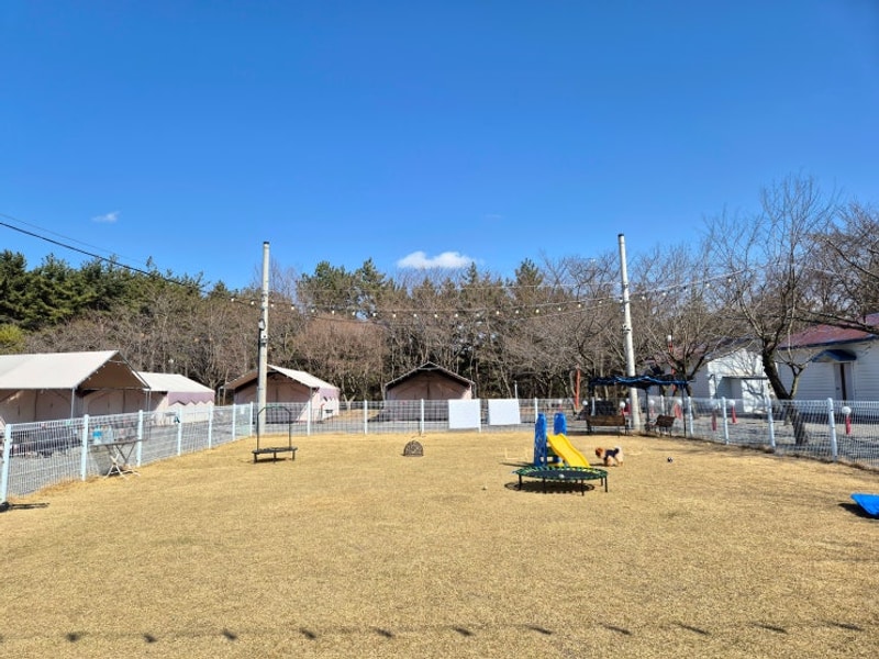 애견동반글램핑 추천 서산 펫앤트리글램핑 펫캠핑 분위기...