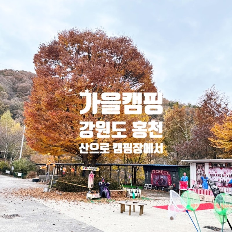 가을 캠핑, 홍천 캠핑장 <산으로 캠핑장> 7구역 사이트 이용...