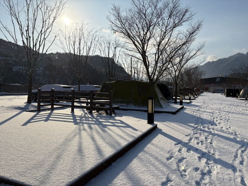 [54번째캠핑] 정읍시내장산국민여가캠핑장 E8