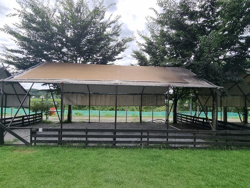 루파니애견캠핑장 시설 사진 10